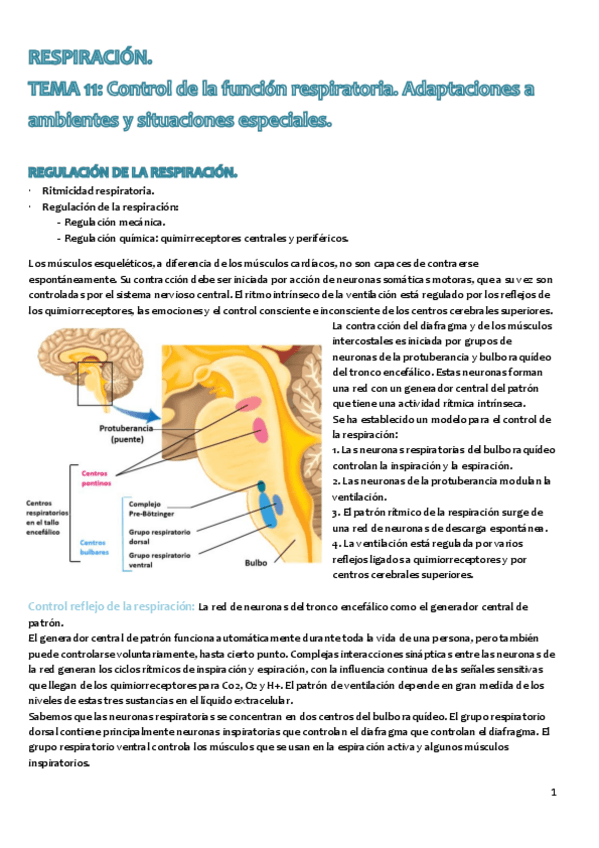 Miniatura del documento Tema 11..pdf