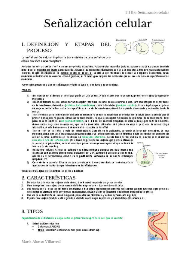 Miniatura del documento T11.pdf