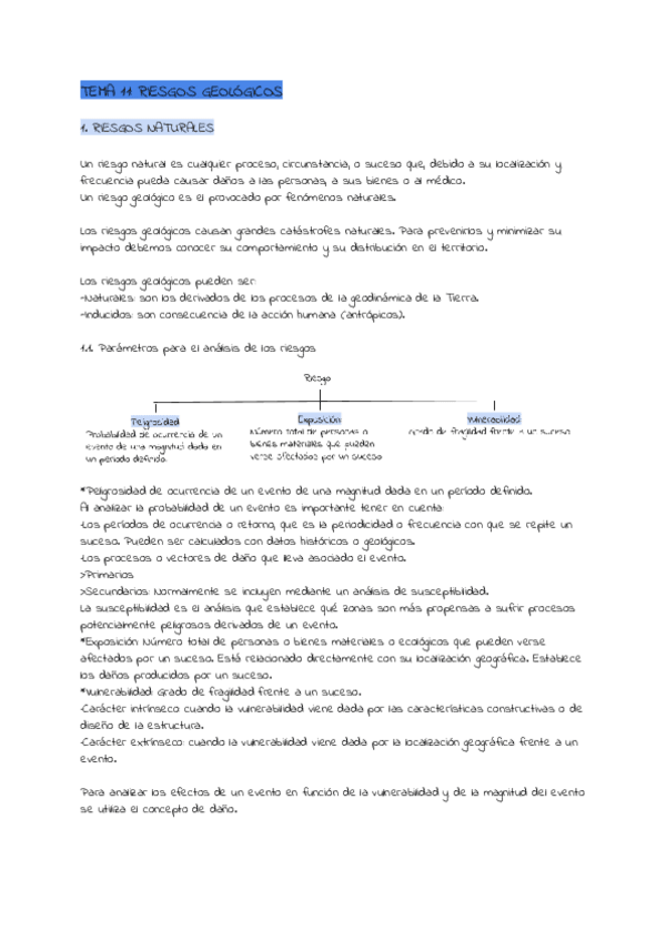 Miniatura del documento TEMA-11-RIESGOS-GEOLOGICOS.pdf