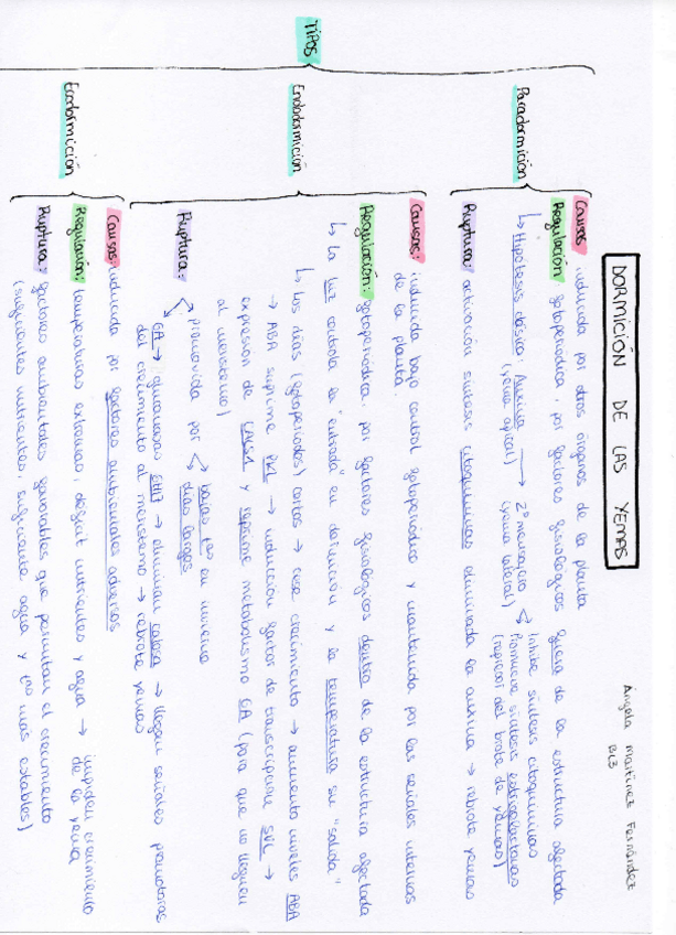 Miniatura del documento Tutoria-8-FV.pdf