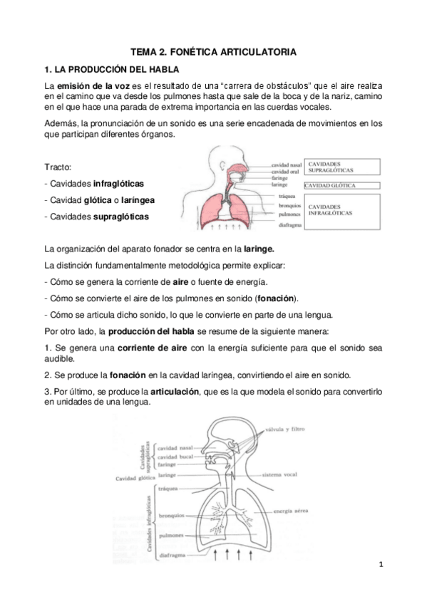 Miniatura del documento TEMA-2.pdf