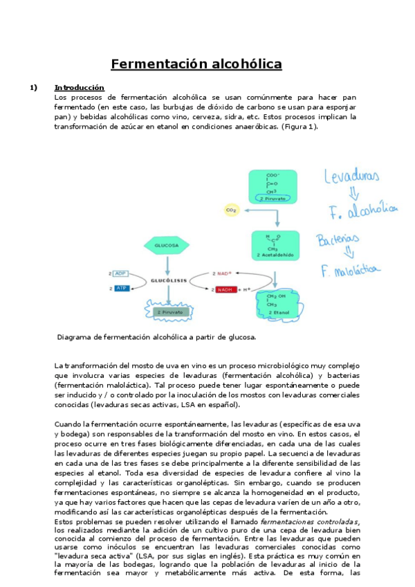 Miniatura del documento apuntes-examen-liproc.pdf