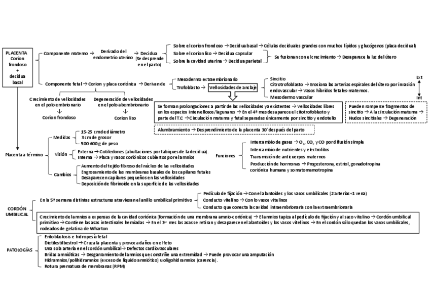 Miniatura del documento Embrioesquemas-I-Diego-Melendez.pdf