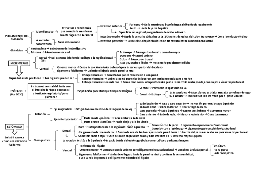 Miniatura del documento Embrioesquemas-II-Diego-Melendez.pdf