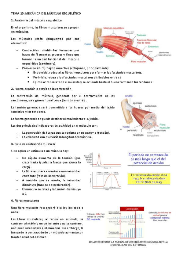 Miniatura del documento TEMA-10.pdf