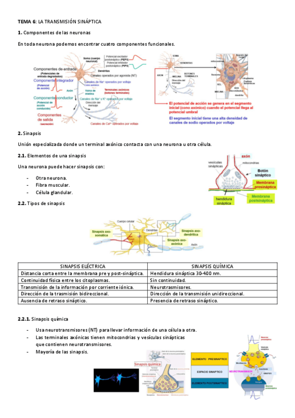 Miniatura del documento TEMA-6.pdf