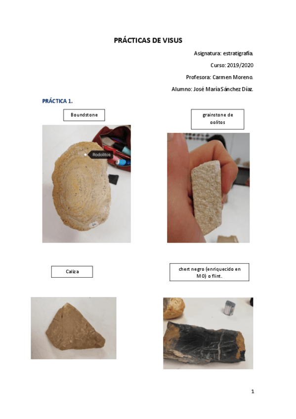 Miniatura del documento PRACTICAS-Visus.pdf