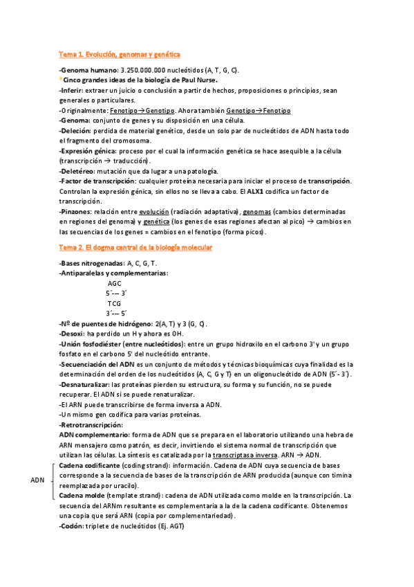 Miniatura del documento Apuntes-y-preguntas.pdf