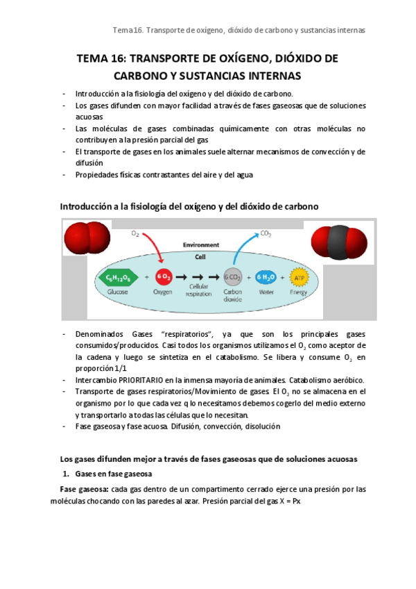 Miniatura del documento Tema 16. Transporte de O2 y CO2