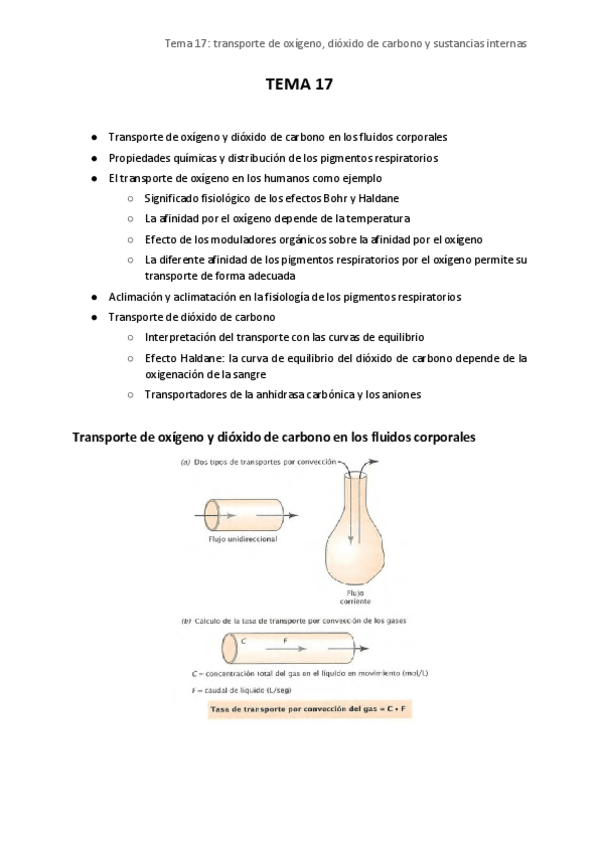 Miniatura del documento Tema 17. Transporte de O2 y CO2 (II)