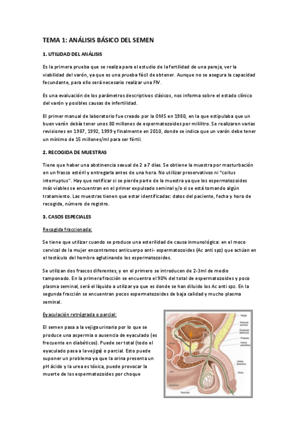 Miniatura del documento reproduccion_humana.pdf