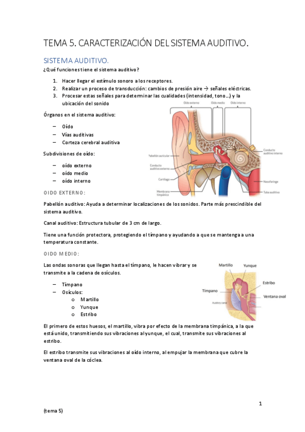 Miniatura del documento TEMA-5.pdf