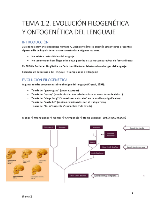 Miniatura del documento TEMA-1.pdf