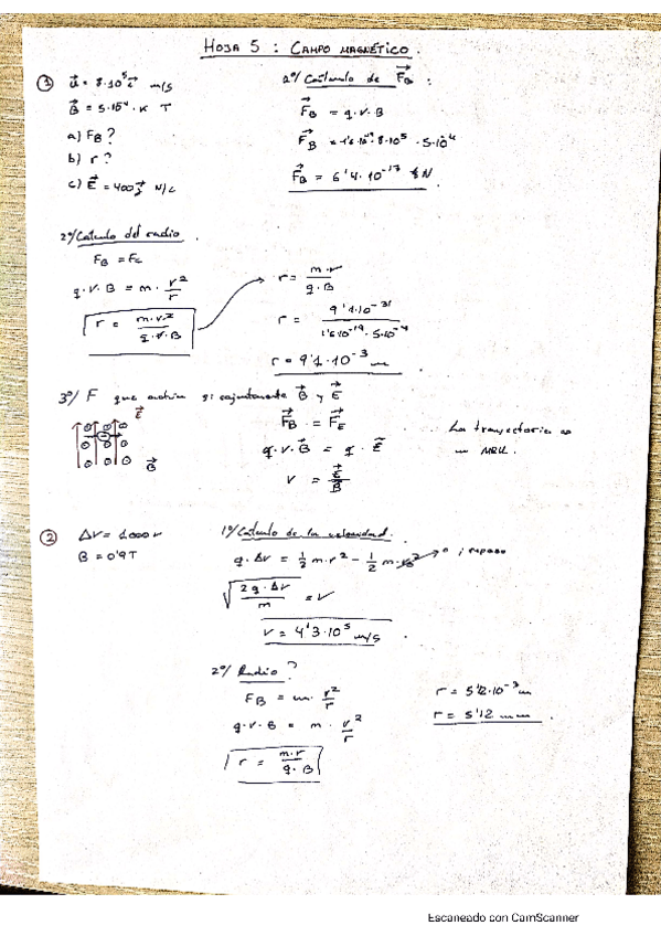 Miniatura del documento Campo-magnetico.pdf