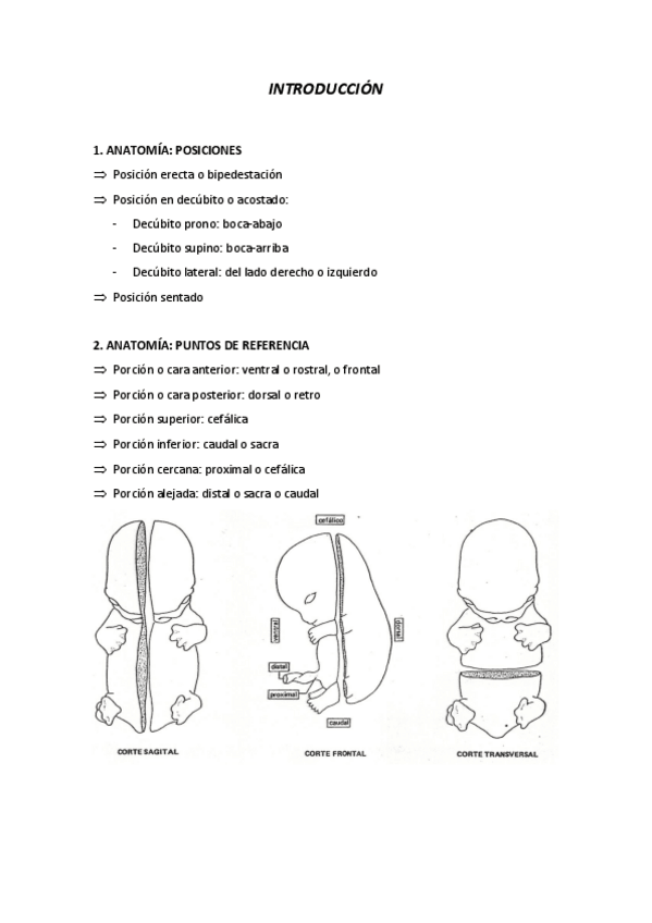Miniatura del documento INTRODUCCION.pdf