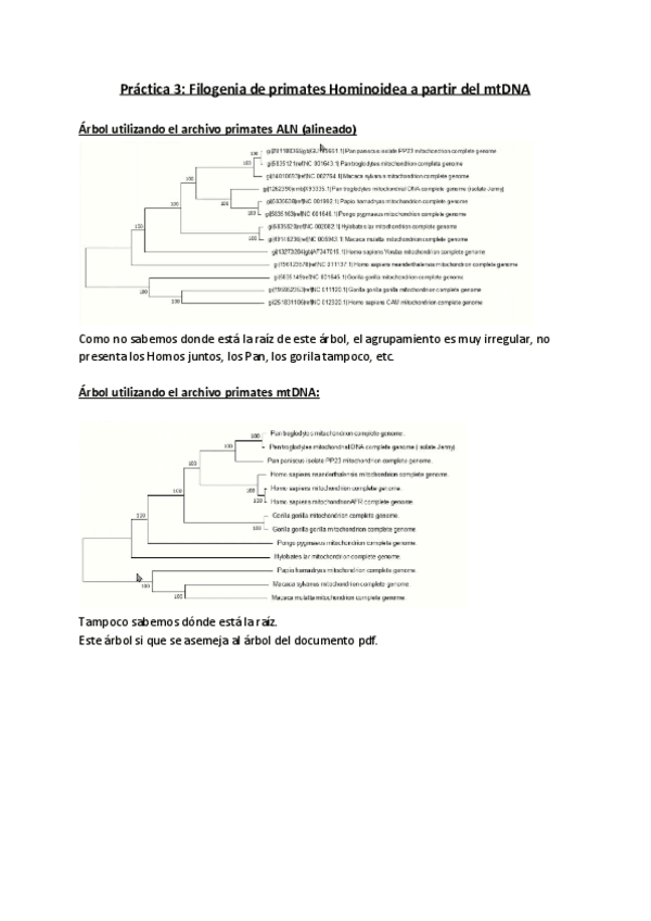Miniatura del documento Ejercicios-practica-3.pdf