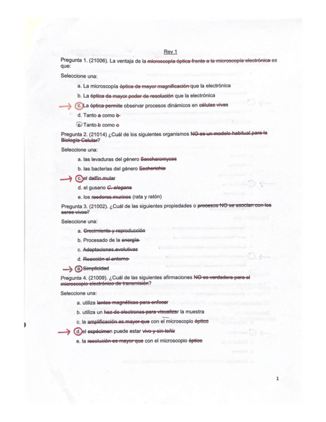 Miniatura del documento 1.pdf