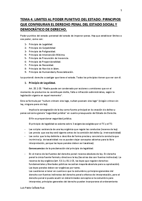 Miniatura del documento Tema 4. Principios.pdf