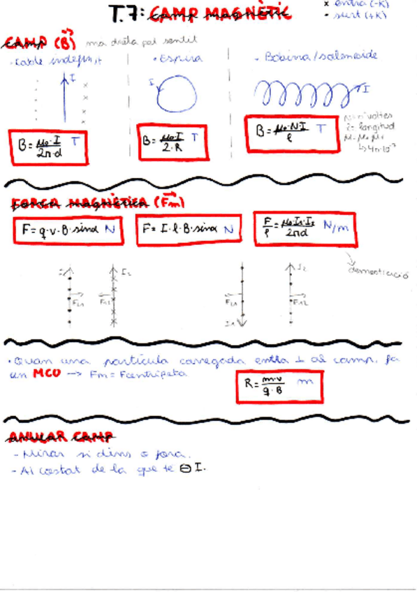 Miniatura del documento camp-magnetic.pdf