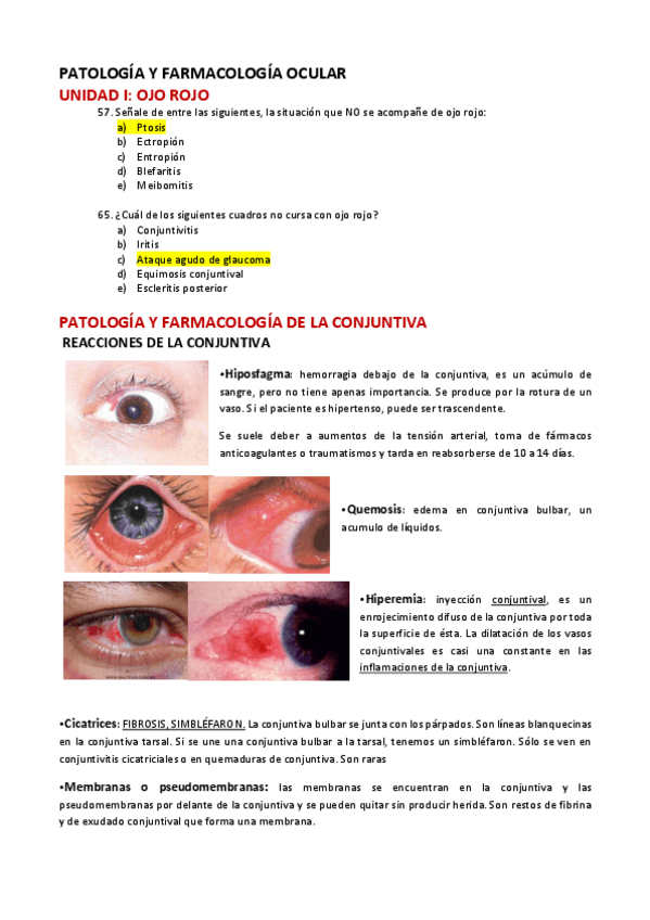 Miniatura del documento Patologia-preguntas-x-temas.pdf