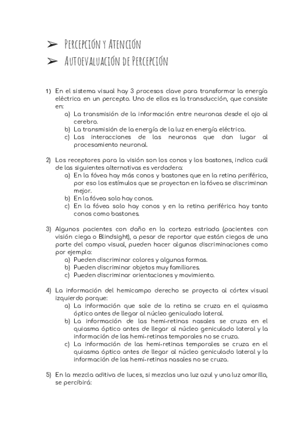 Miniatura del documento Autoevaluacion-Percepcion-PyA.pdf
