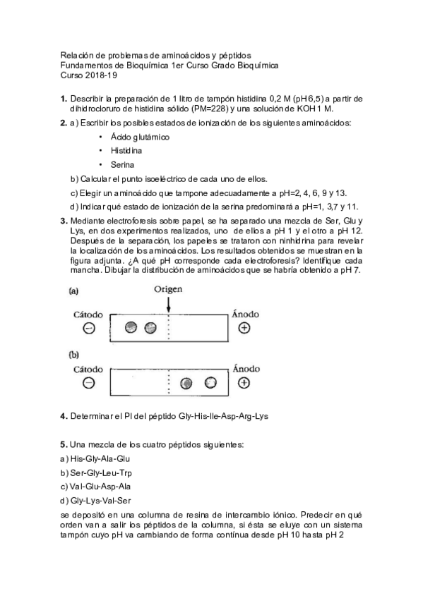 Miniatura del documento Relacion-de-problemas-de-aminoacidos-y-peptidos.pdf