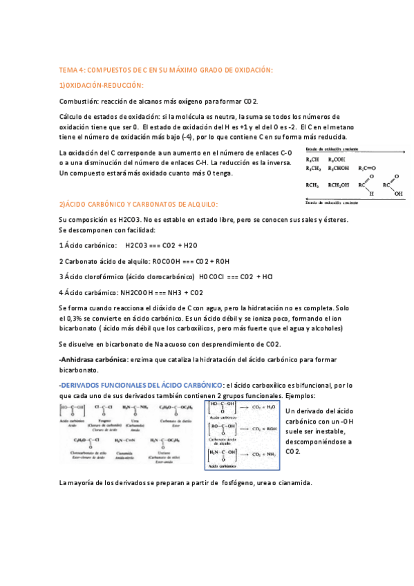 Miniatura del documento resumen-tema-4.pdf