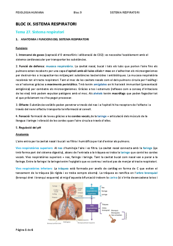 Miniatura del documento bloc-9-T27.pdf