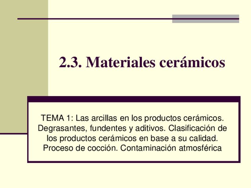 Miniatura del documento Tema 1.pdf