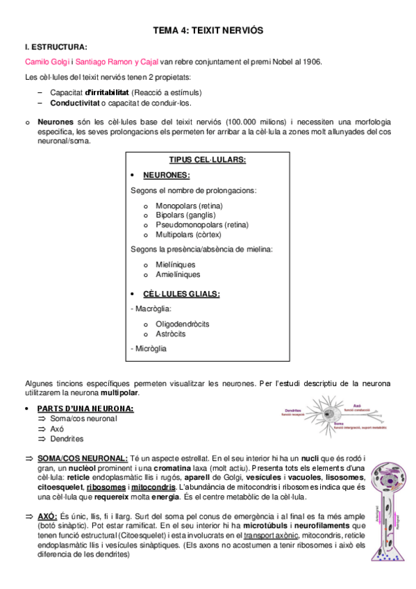 Miniatura del documento fonaments-psicobio-tema-4.pdf