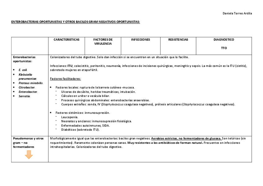 Miniatura del documento BACILOS-GRAM-NEGATIVOS-resumen.pdf