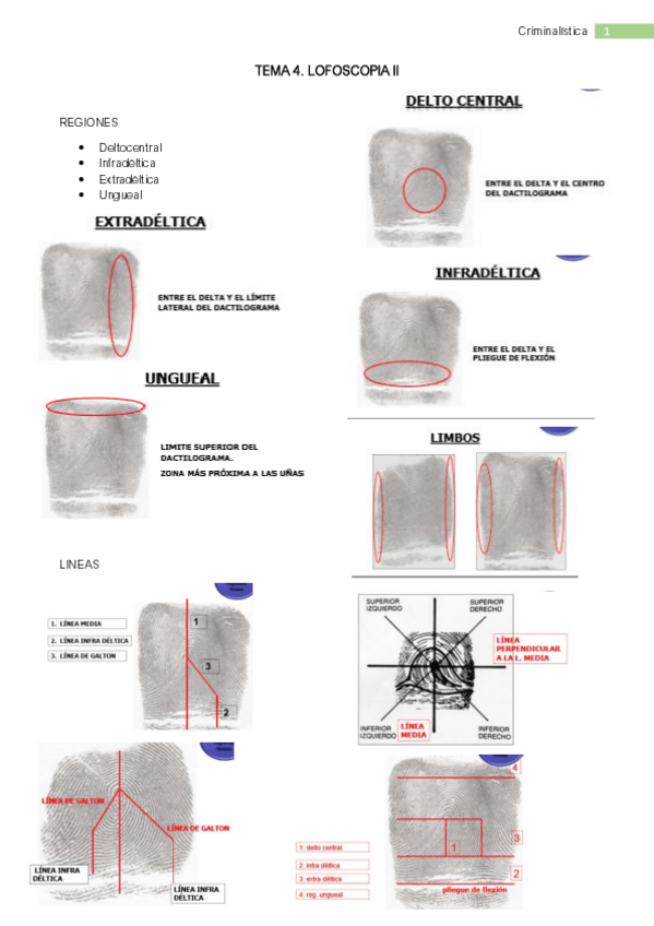Miniatura del documento 4.pdf
