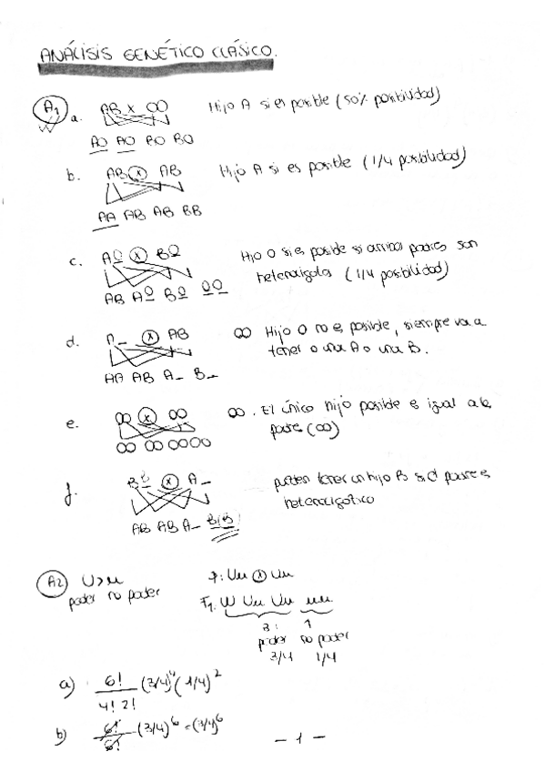 Miniatura del documento A.pdf