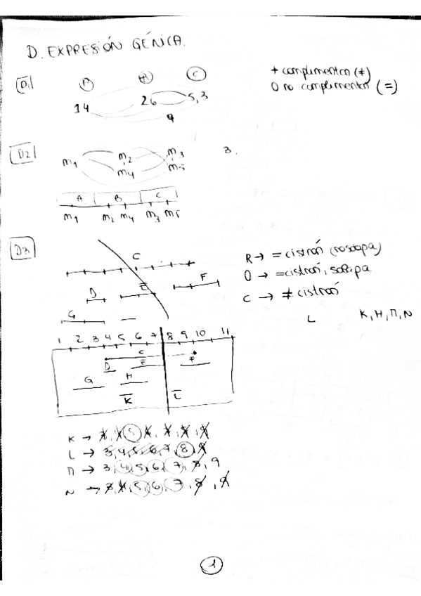 Miniatura del documento D.pdf