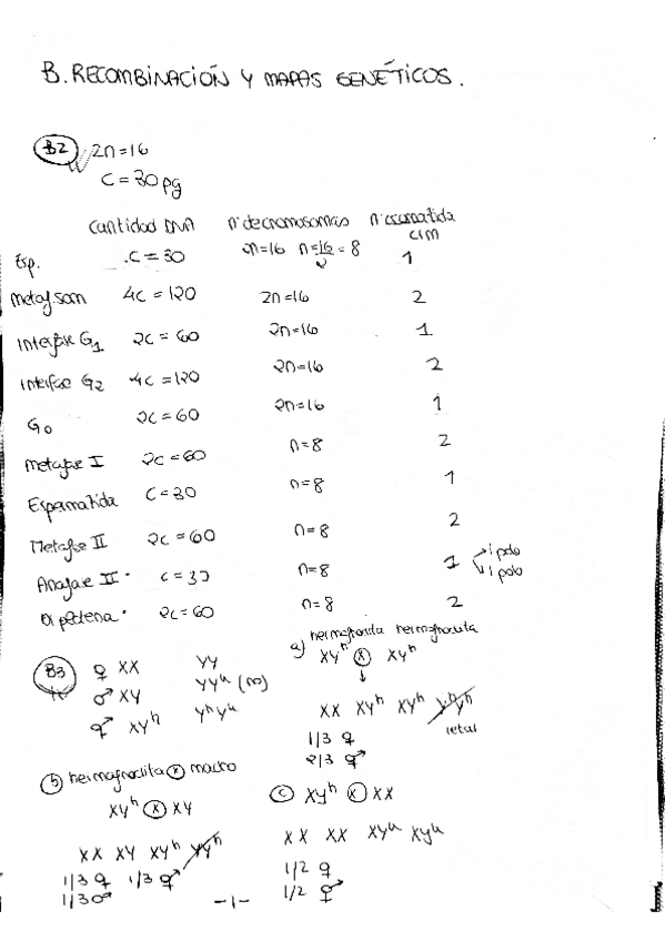 Miniatura del documento B.pdf