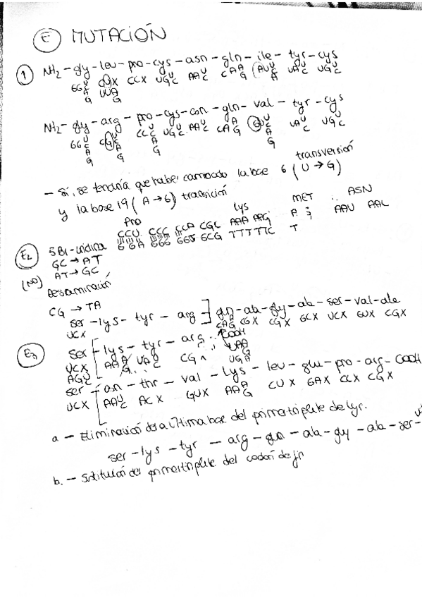 Miniatura del documento E.pdf