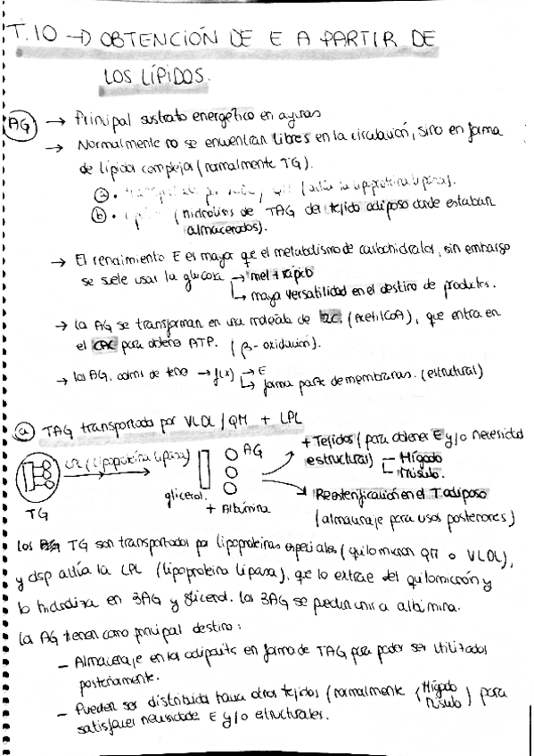 Miniatura del documento BQ-10.pdf
