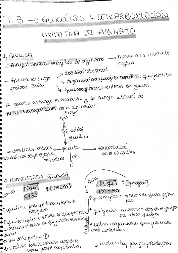 Miniatura del documento BQ-3.pdf