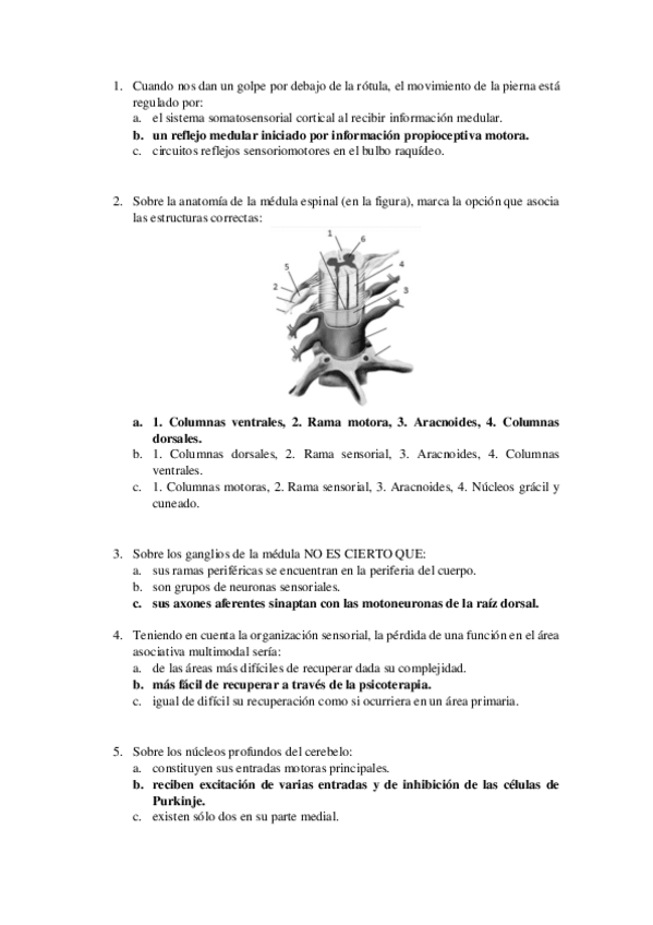 Miniatura del documento examen-prueba-ii.pdf