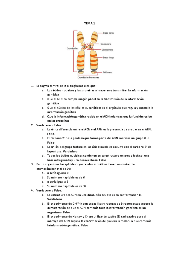 Miniatura del documento CHULETARIO.pdf