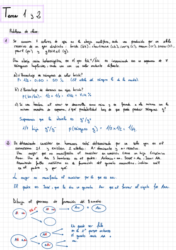 Miniatura del documento Ejercicios-.pdf