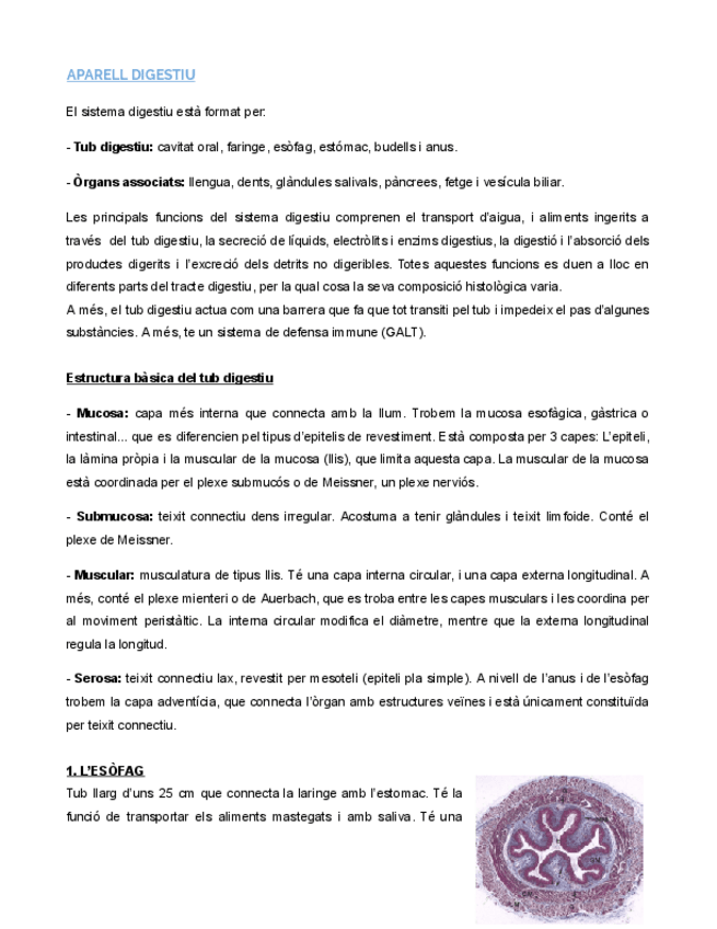 Miniatura del documento APARELL-DIGESTIU-Documentos-de-Google.pdf