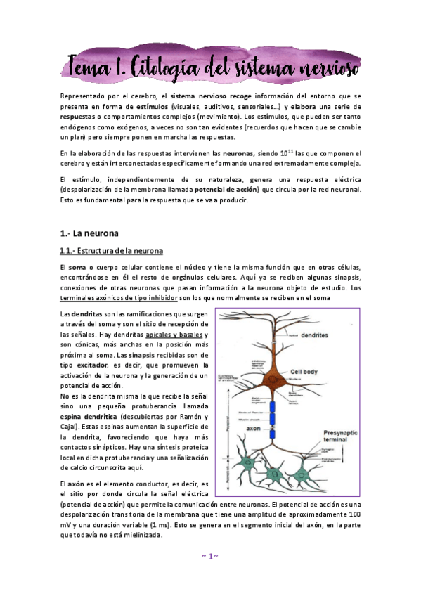 Miniatura del documento Tema-1.pdf