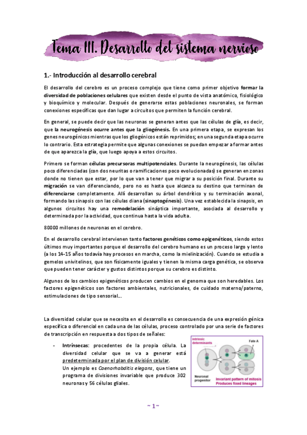 Miniatura del documento Tema-3.pdf