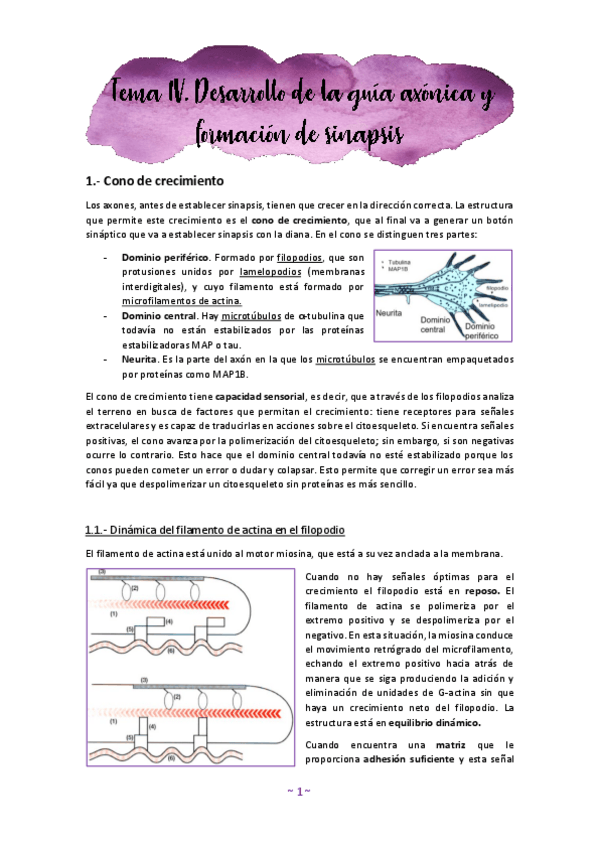 Miniatura del documento Tema-4.pdf
