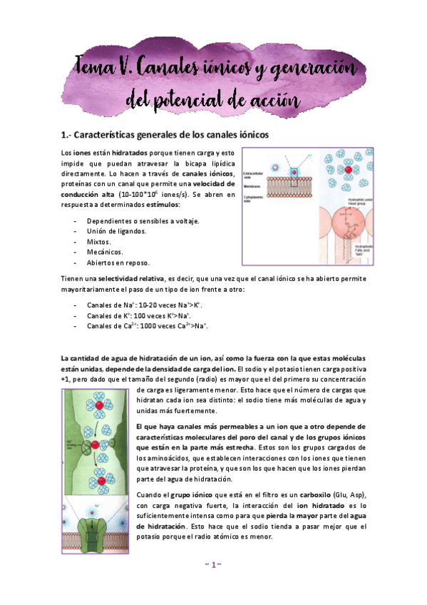 Miniatura del documento Tema-5.pdf