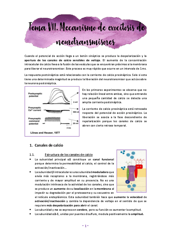 Miniatura del documento Tema-7.pdf