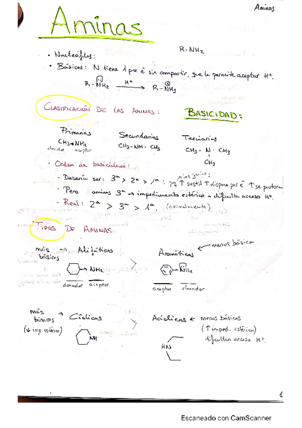 Miniatura del documento Aminas.pdf