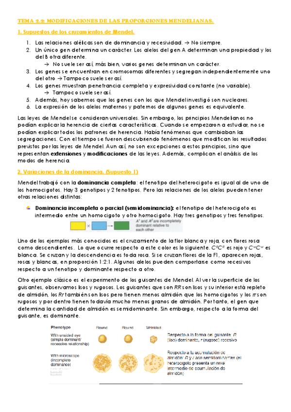 Miniatura del documento Tema-2.pdf