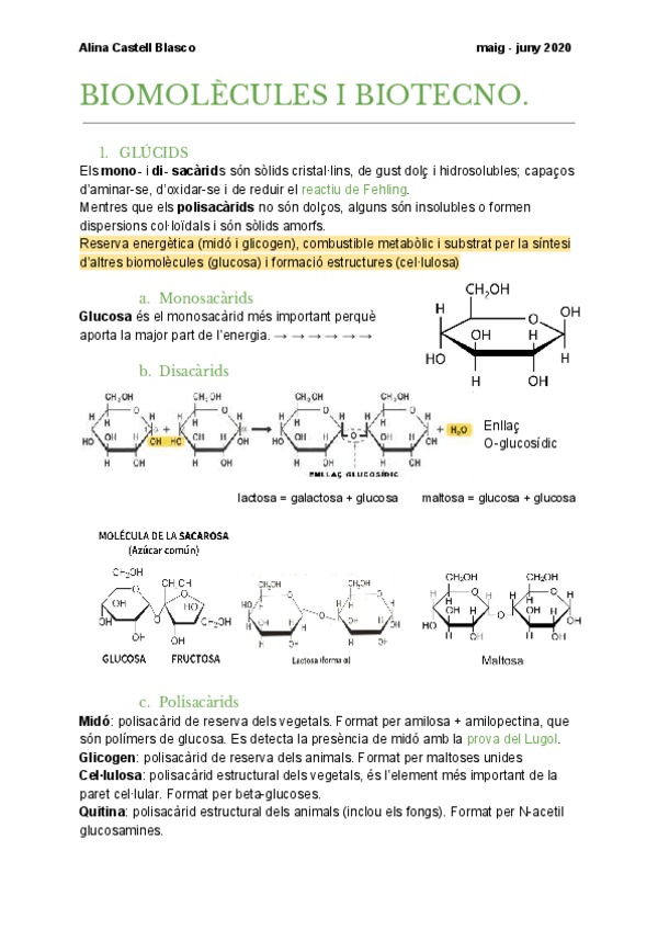 Miniatura del documento biomolecules-i-biotecnologia.pdf